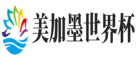 拾悦世界杯